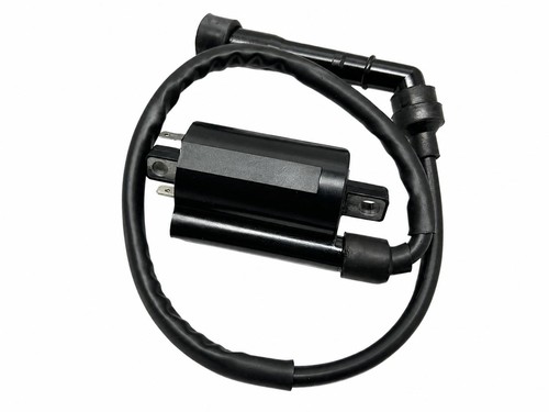 Bobina accensione ignition