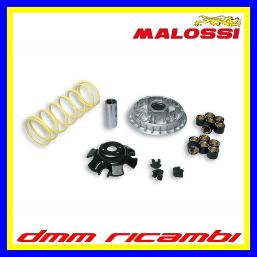 Variatore malossi multivar - malossi,