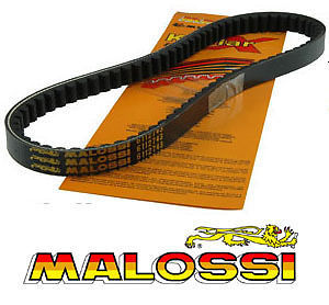 Cinghia malossi rinforzata - cinghia,